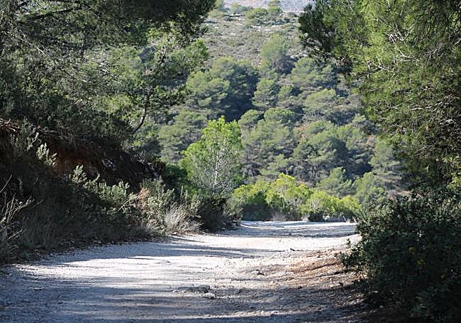 The return from Cañada del Lobo is by the same route.