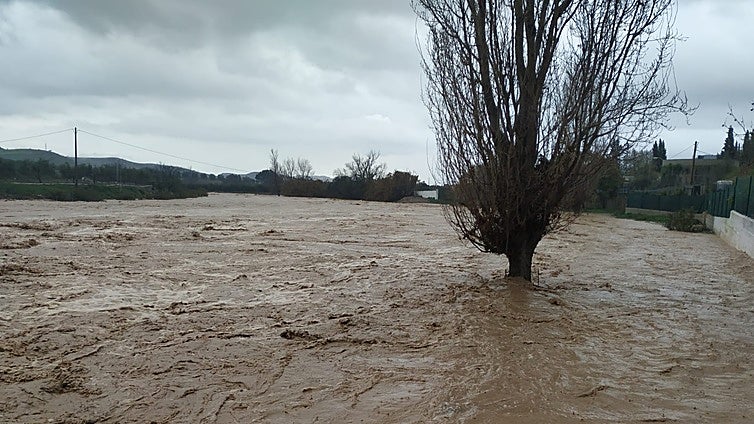 Malaga takes a short break from the rains after receiving up to 160mm in parts of the province