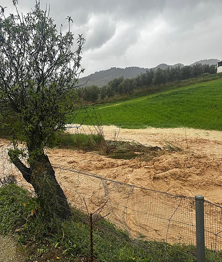 Imagen secundaria 2 - Igualeja. Jubrique and El Burgo