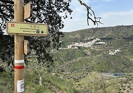 File image of Moclinejo.