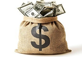 Brics, an open door to replace the US dollar or bricked up?