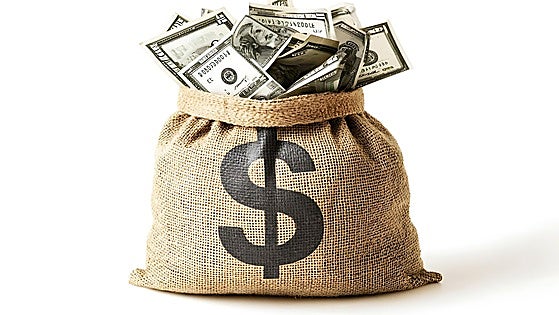 Brics, an open door to replace the US dollar or bricked up?