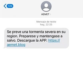 Image of the message that is reaching mobile phones in Spain.