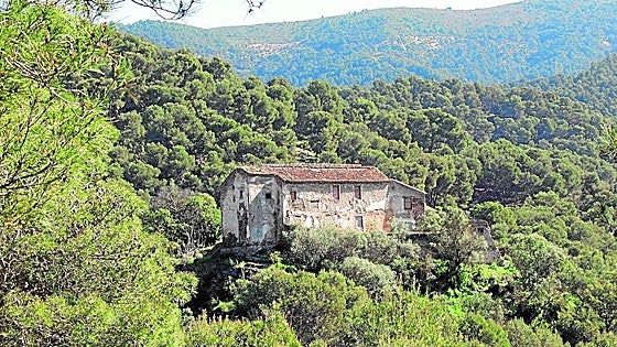 Andalucía to provide higher environmental protection for Montes de Málaga park