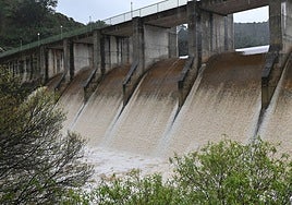 Water is discharged from the Guadaiza dam.