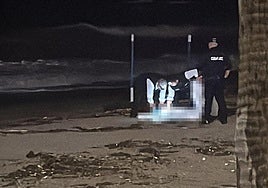 Headless body wearing wetsuit discovered near promenade on Costa del Sol beach