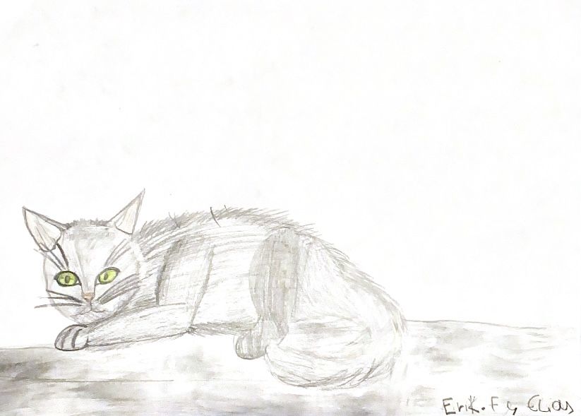 Erik Elias, Aged 10. Novaschool Benalmádena