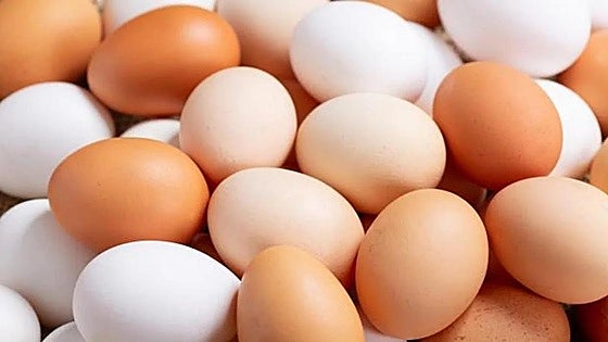 Why are eggs so expensive at the moment in Spain?