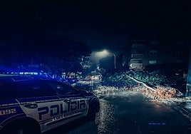 A Local Police car crew responds to a call for trees crashing down onto the street.