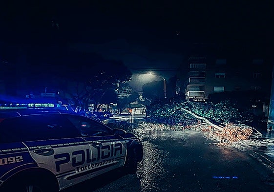 A Local Police car crew responds to a call for trees crashing down onto the street.