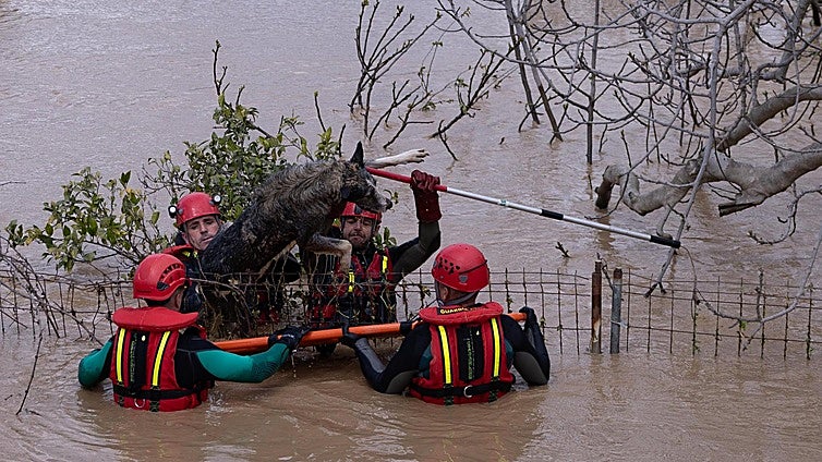 Malaga flood victims demand action: 'We were fighting against something that was stronger than us'