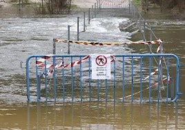 A footbridge closed due to floods that prohibits passage over the Manzanares River in El Pardo.