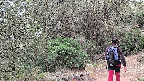 A circular hiking route that covers the easternmost part of the Sierra de Mijas mountain range