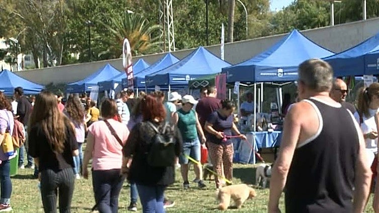 Fuengirola stages canine day to highlight the role that dogs perform in society