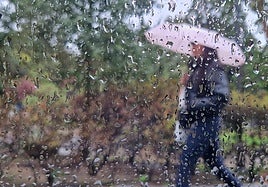 Aemet activates a new yellow warning for heavy rain in Malaga for Tuesday