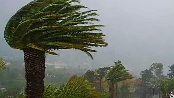 Storm Nuria: Spain's state weather agency activates red alert in the Canary Islands for hurricane-force winds
