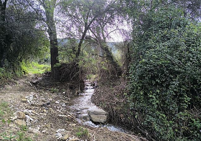 The path that follows the stream up the gully.