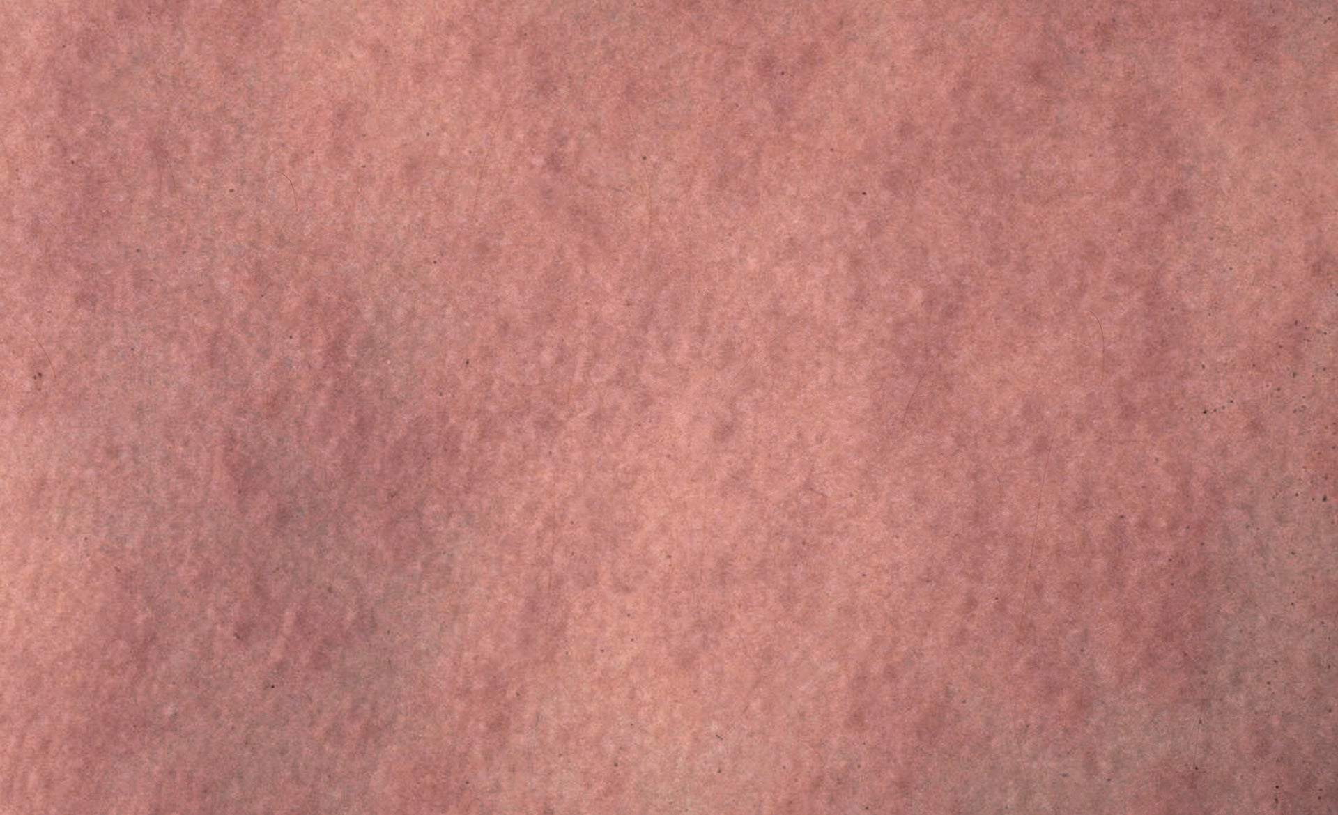 Scroll Story imagen 1