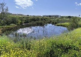 Panoramic view of Soliva lake.