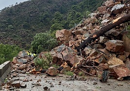 State of the Ronda-San Pedro road after the major landslide.
