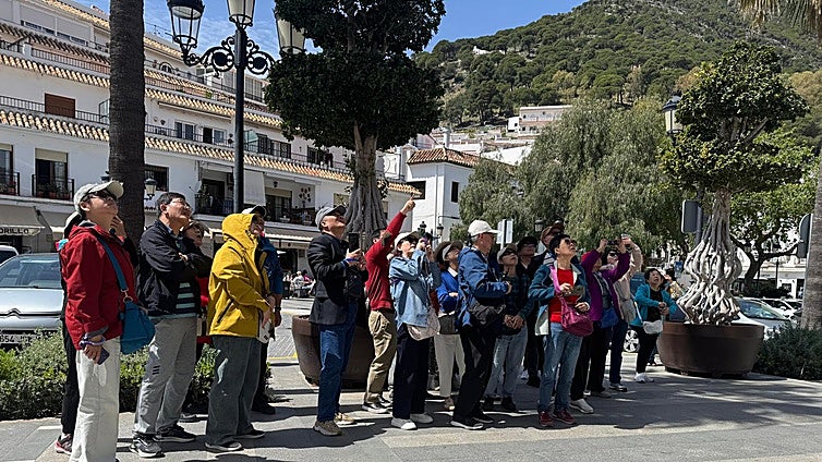 Improved hotel occupancy figures show that Mijas remains a 'tourist benchmark'