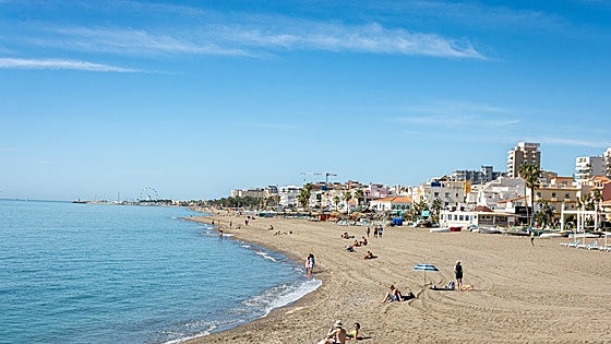 Torremolinos removes 120 tonnes of reeds from its beaches in time for Easter