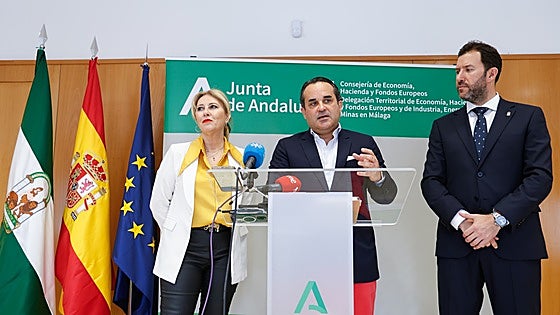 When will the two major Chinese manufacturing plants in the north of Malaga province be operational?