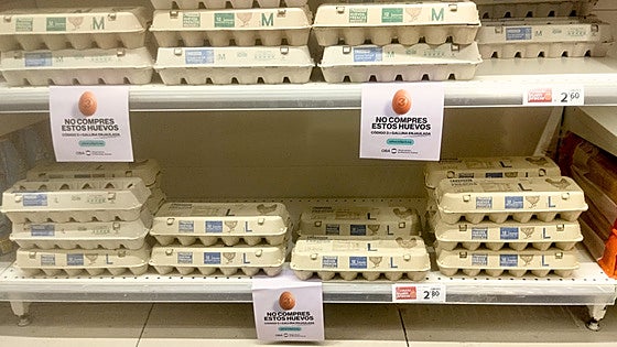 'Don't buy these eggs' warning signs pop up in Spanish supermarkets