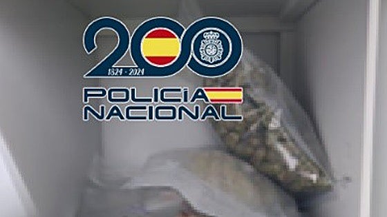 Police bust Costa del Sol cannabis club that operated as drug dealing point