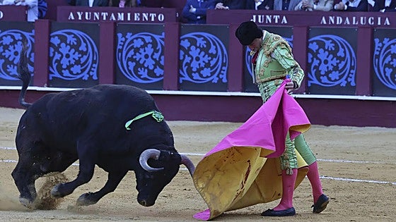 Junta reaffirms 'unconditional' support for bullfighting: 'Andalucía and its regional government are enthusiasts'