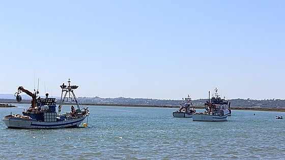 Andalucía offers 6.4-million-euro compensation to fishing industry for stoppages