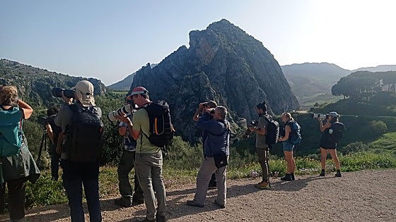 Montejaque showcases its bird population