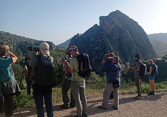 Many field trips were made to observe birds in their natural habitat.