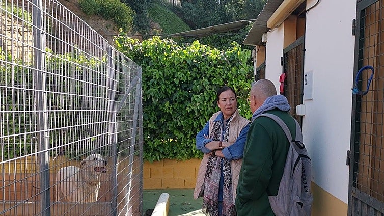 Costa del Sol refuge looked after 726 animals in 2024
