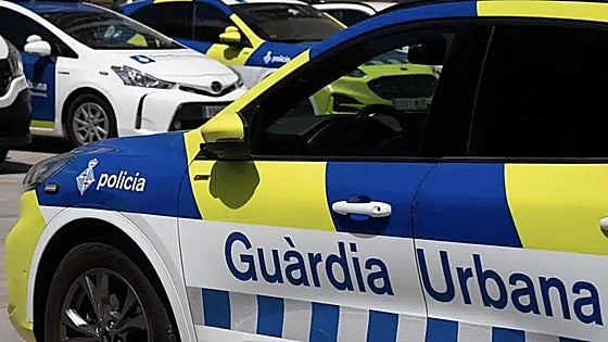 Controversy after police shoot and kill dog on A-7 motorway in Spain for 'endangering' traffic