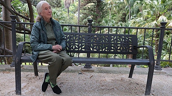 Famous British green campaigner Jane Goodall brings her message of hope to Malaga