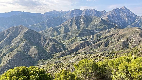 New book in English and Spanish lists 280 bird species that can be spotted in east of Malaga province