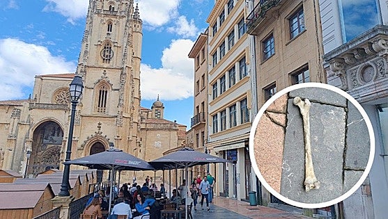 Spanish city perplexed after human thighbone falls from flat near cathedral