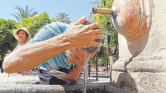 The first 'terral' wind of the year hits Malaga: this is how the thermometers will rise on Tuesday