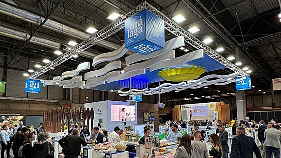 Malaga's leading names in distribution flex their muscles