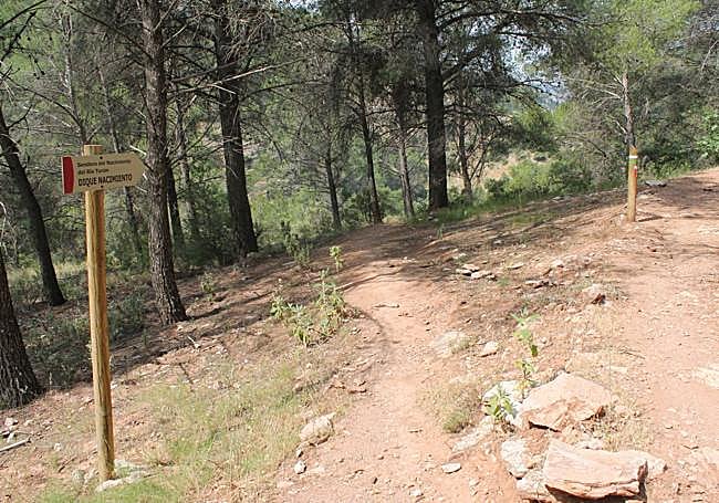 The trail fork that takes you down to the Nacimiento del Turón dam.