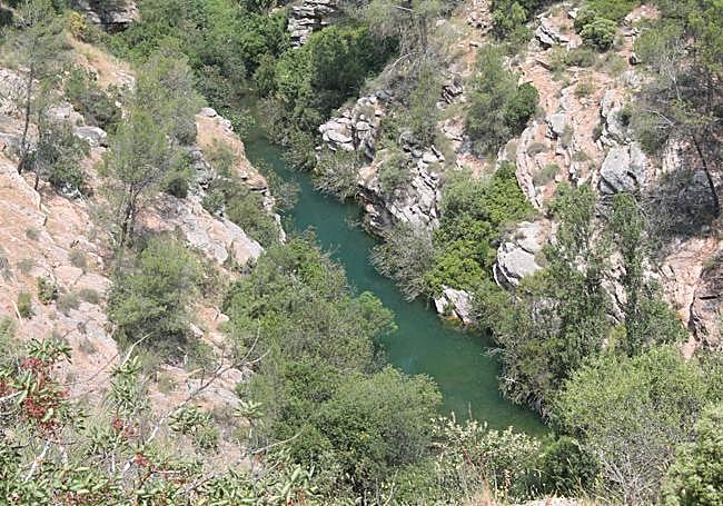 The Turón river is surrounded by dense vegetation.
