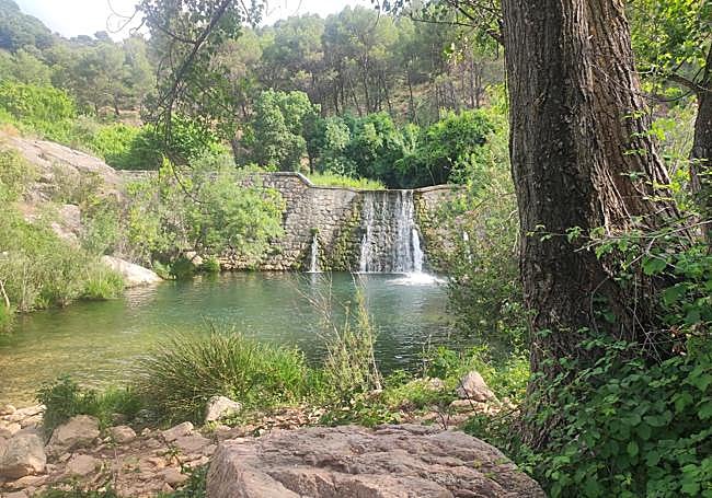 The source of the Turón dam.