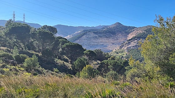 High risk of wildfires awareness campaign launched in Costa del Sol town