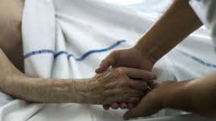 Malaga is the Andalusian province with highest number of euthanasias performed in 2024