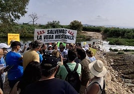 Locals and volunteers protest against the plant.