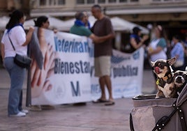 A photo from the demonstration held on Saturday on the streets of Malaga.