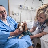 Iñigo, admitted to Txagorritxu hospital, receives a visit from his dog Vera in the presence of Puri, the orderly.