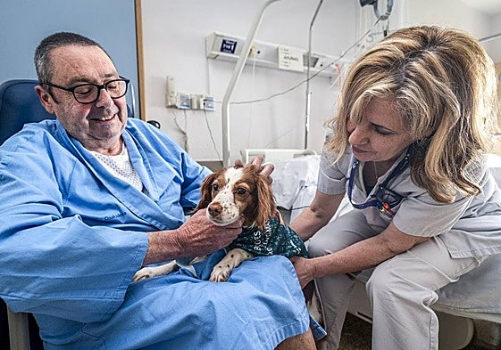 Iñigo, admitted to Txagorritxu hospital, receives a visit from his dog Vera in the presence of Puri, the orderly.