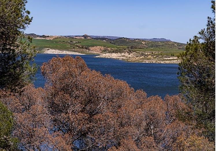 Views on the Conde de Guadalhorce reservoir.